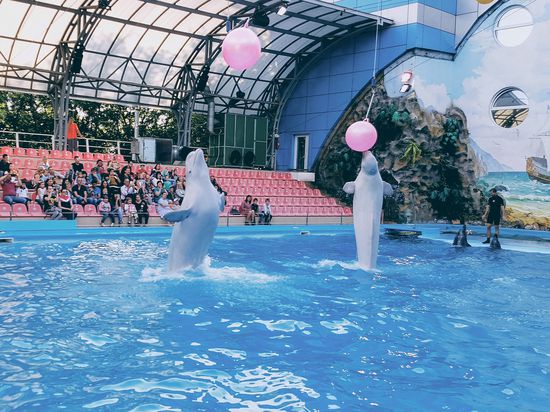 Kharkiv Dolphinarium